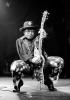 bo_diddley_sig_move_72 